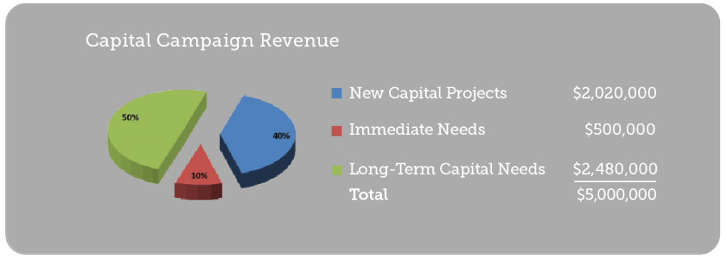 Capital-campaign-revenues-01